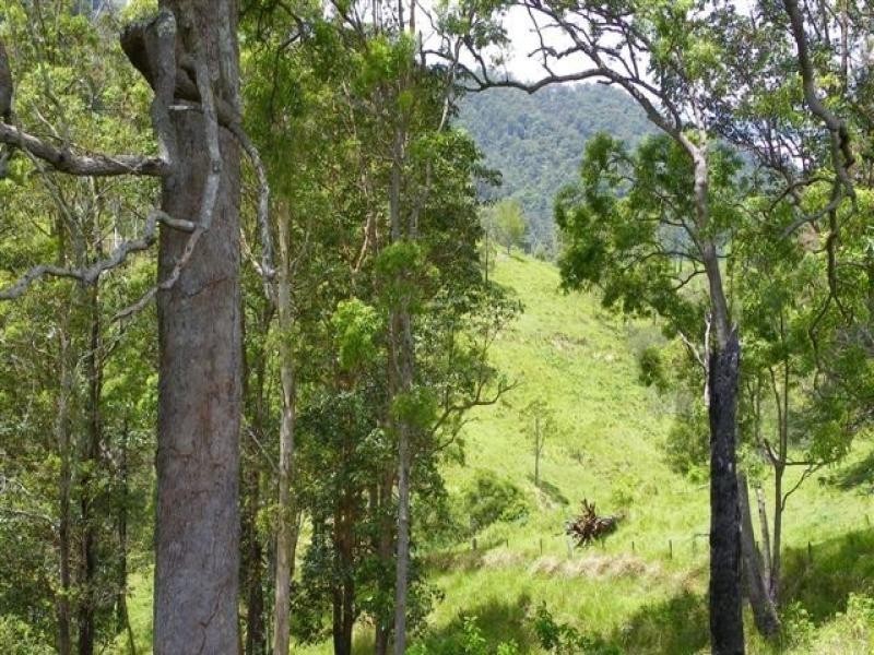 Conondale QLD 4552