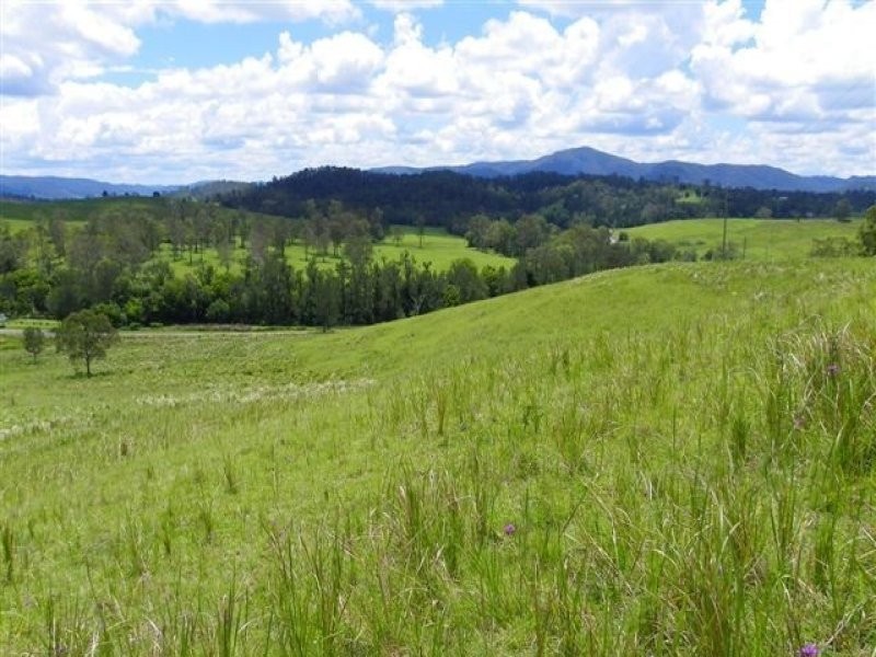Conondale QLD 4552
