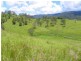 Conondale QLD 4552