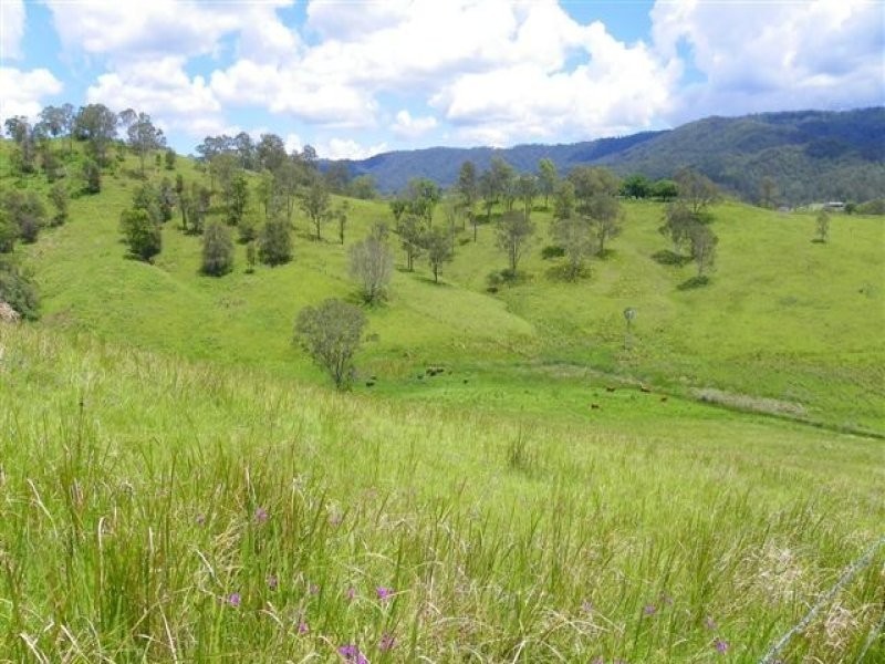 Conondale QLD 4552