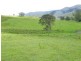 Conondale QLD 4552