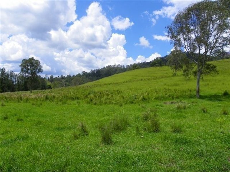 Conondale QLD 4552
