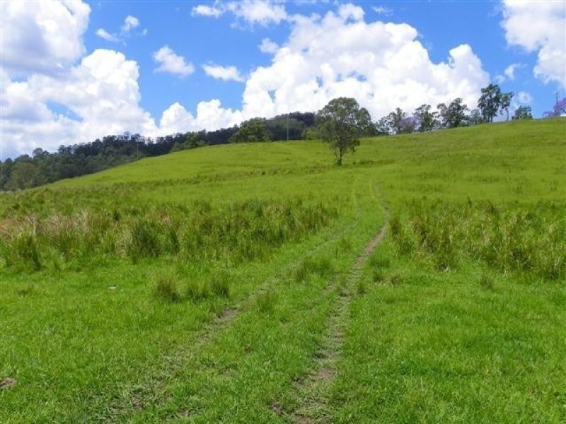 Conondale QLD 4552