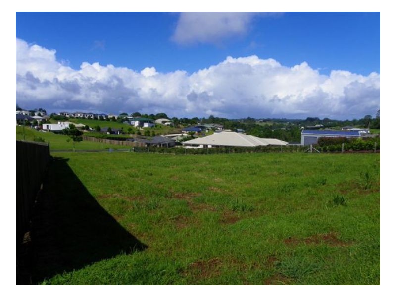 16 Macaranga Street, Maleny QLD 4552