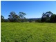 4 Talana Drive, Dulong QLD 4560