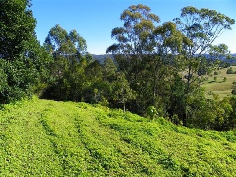 4 Talana Drive, Dulong QLD 4560