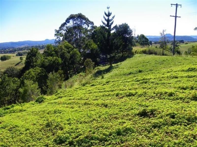 4 Talana Drive, Dulong QLD 4560