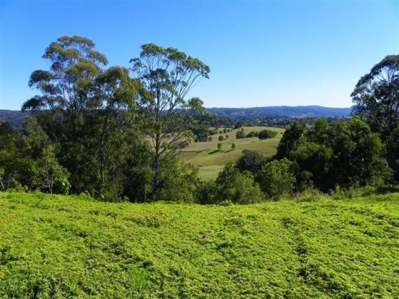 4 Talana Drive, Dulong QLD 4560