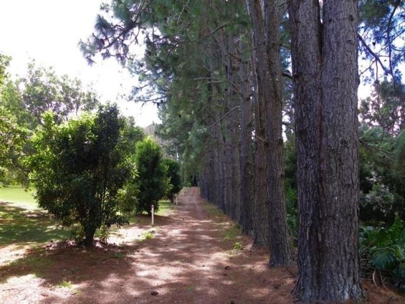 64 Mill Hill Road, Montville QLD 4560