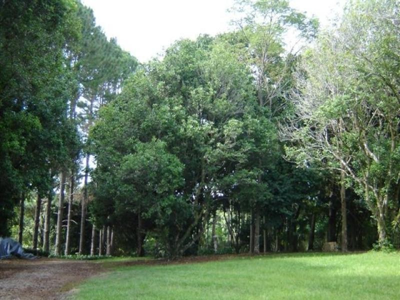 64 Mill Hill Road, Montville QLD 4560