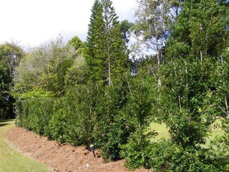 64 Mill Hill Road, Montville QLD 4560