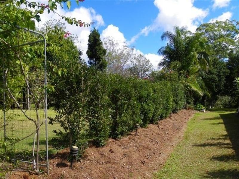 64 Mill Hill Road, Montville QLD 4560