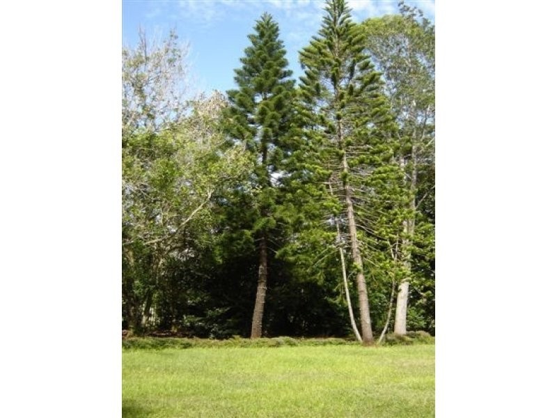 64 Mill Hill Road, Montville QLD 4560