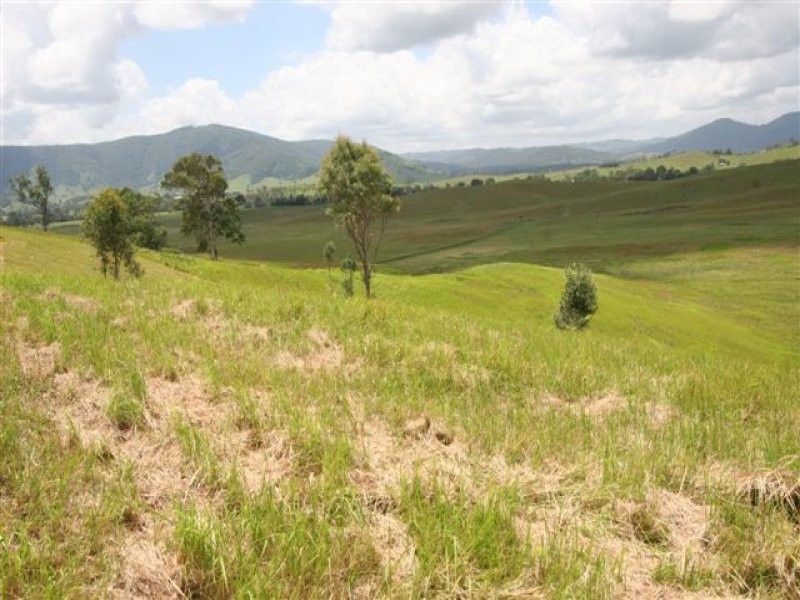 Conondale QLD 4552