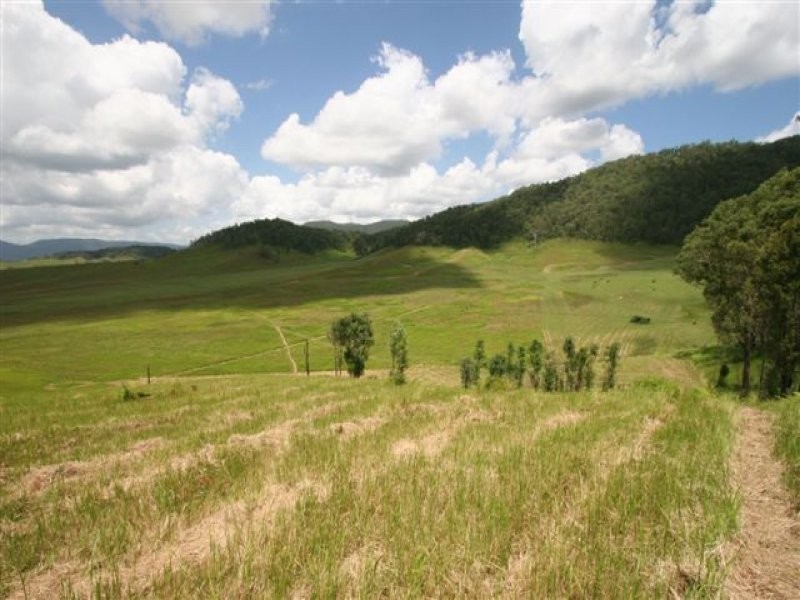 Conondale QLD 4552