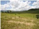Conondale QLD 4552