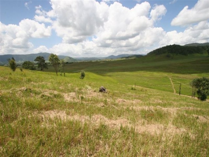 Conondale QLD 4552