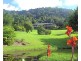 140 Kirbys Road, Palmwoods QLD 4555