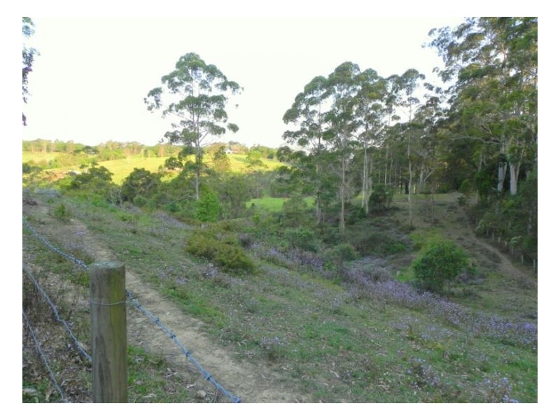 80-92 Bellthorpe West Range Road, Bellthorpe QLD 4514