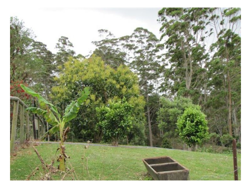 80-92 Bellthorpe West Range Road, Bellthorpe QLD 4514