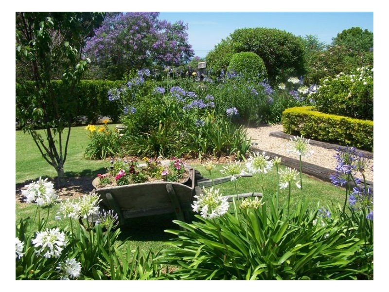 42 McCarthy Shute Road, Maleny QLD 4552