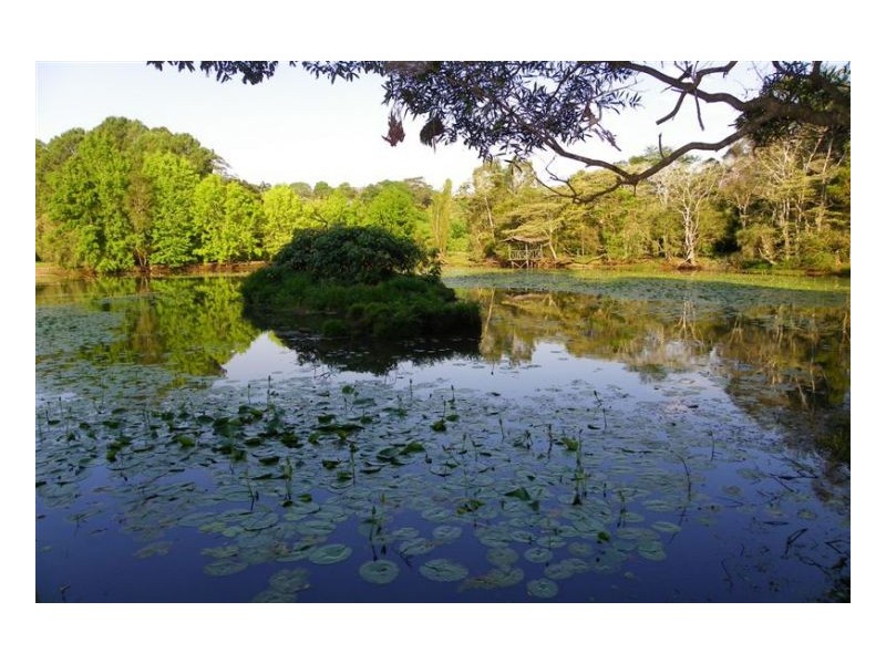 71 McCarthy Road, Maleny QLD 4552