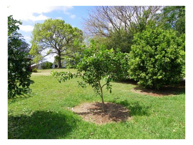 Lot 2 129 Gardners Lane, North Maleny QLD 4552