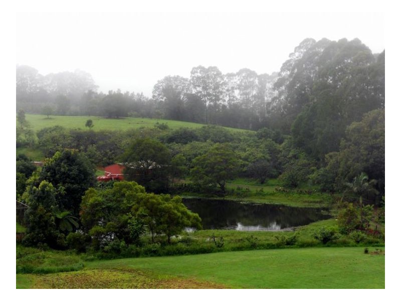 21 Akala Street, Montville QLD 4560