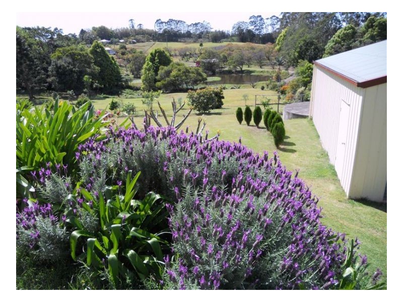 21 Akala Street, Montville QLD 4560