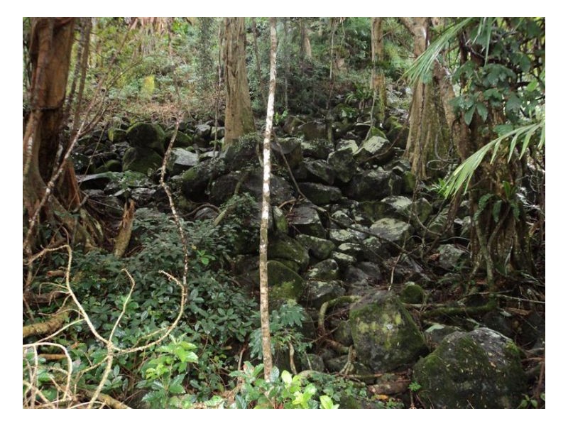 15 Narrows Road, Montville QLD 4560