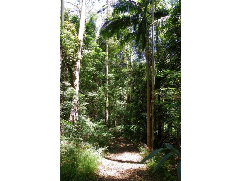 154 Engle Road, Maleny QLD 4552
