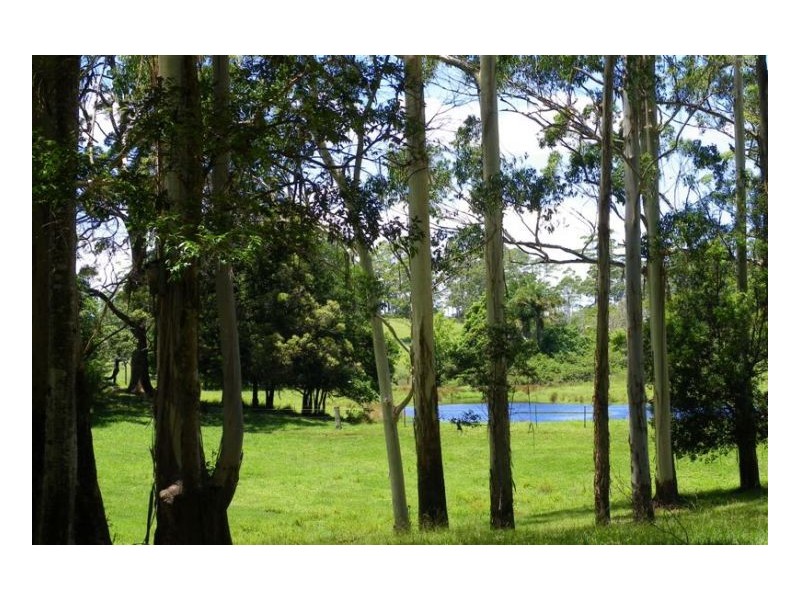 154 Engle Road, Maleny QLD 4552