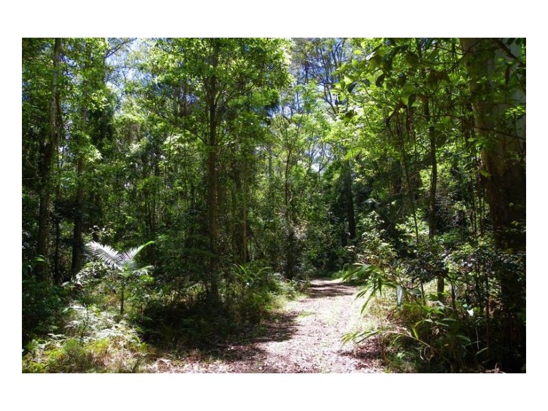 154 Engle Road, Maleny QLD 4552
