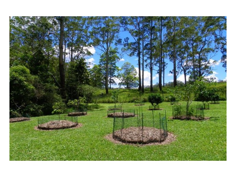 154 Engle Road, Maleny QLD 4552