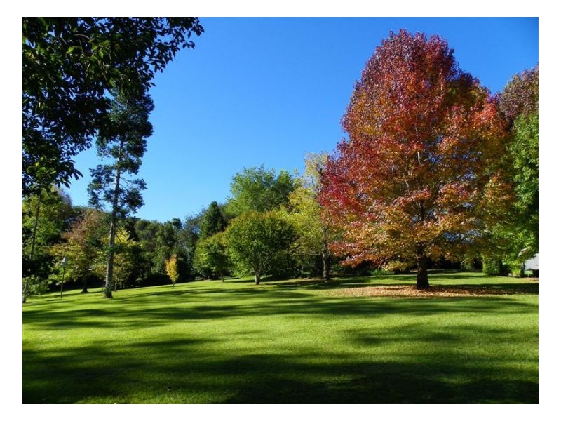 386 Western Avenue, Montville QLD 4560