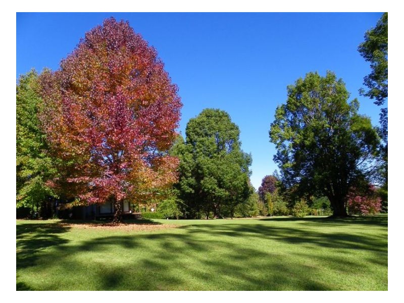 386 Western Avenue, Montville QLD 4560