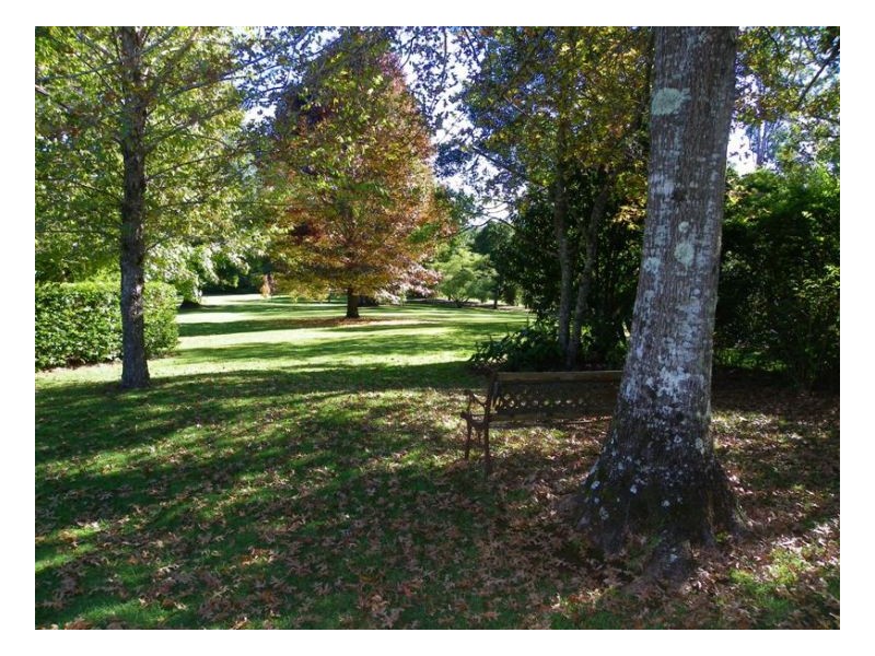 386 Western Avenue, Montville QLD 4560