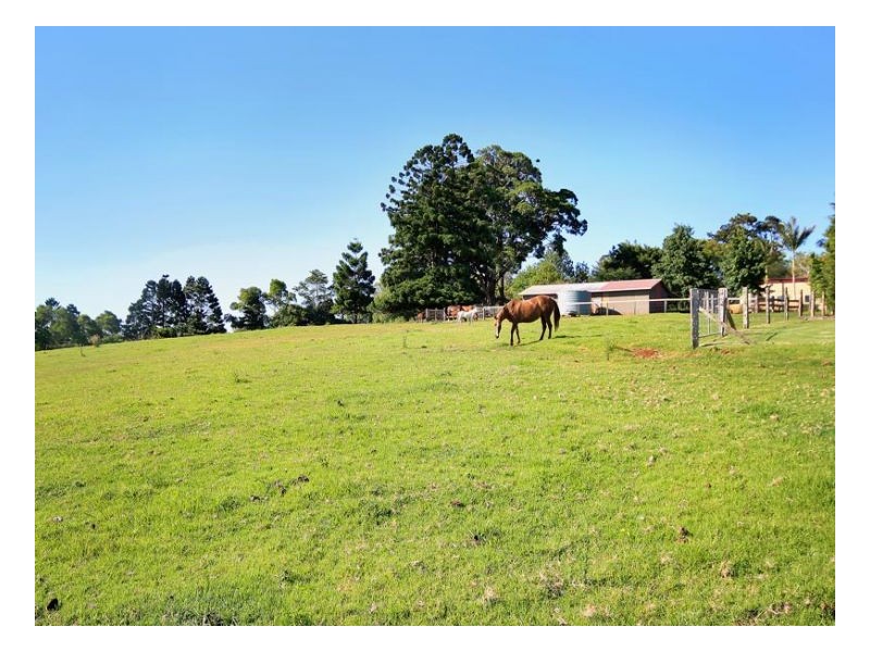 811 Landsborough Maleny Road, Maleny QLD 4552