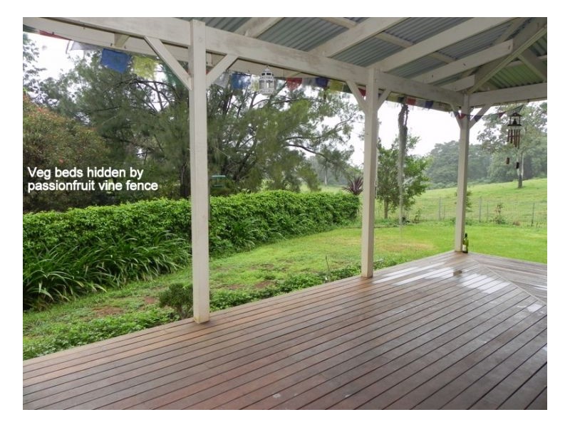 11 Wittaberg Road, Witta QLD 4552