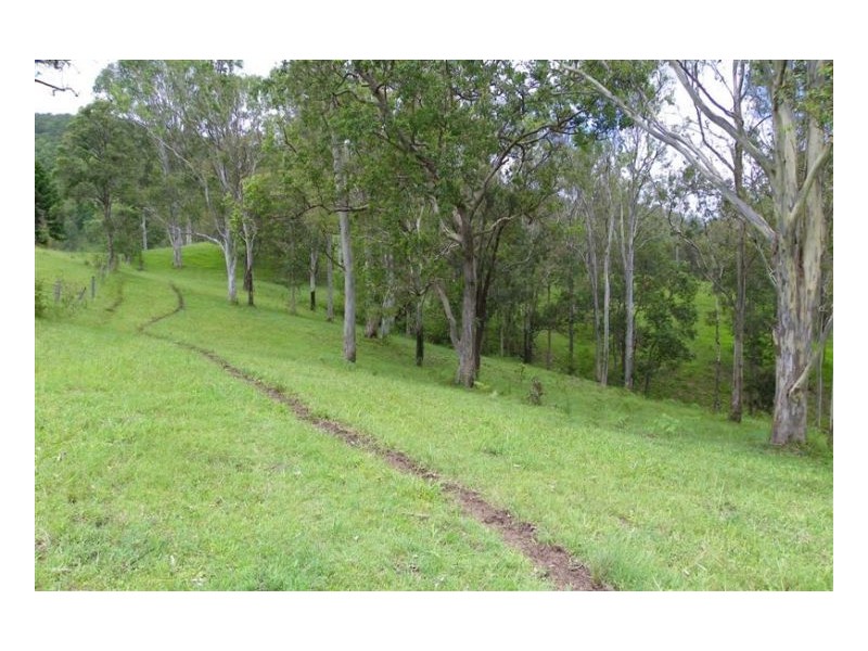 Maleny QLD 4552