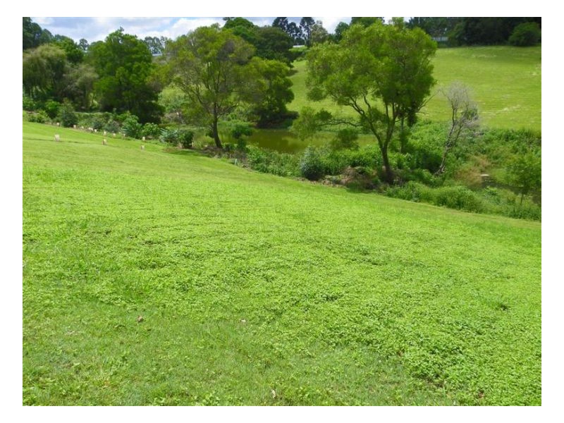 Lot 3, 43 Obi Vale, Maleny QLD 4552