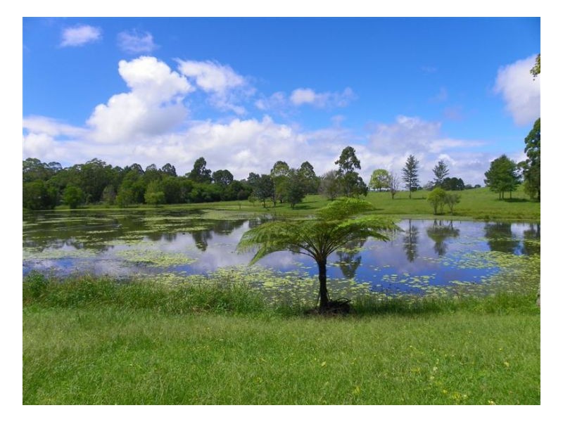 92 Cooke Road, Witta QLD 4552