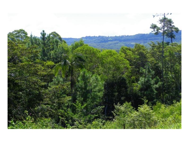 20 Crohamhurst Road, Peachester QLD 4519