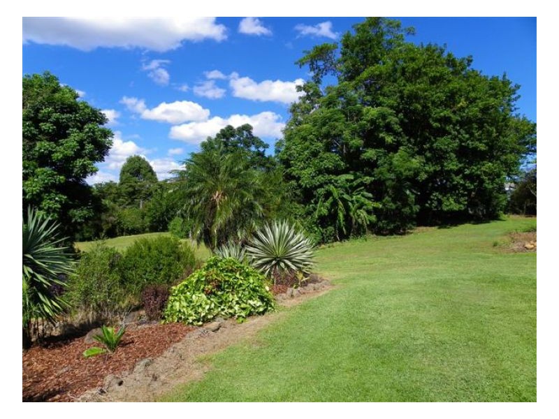 91 Reesville Road, Maleny QLD 4552