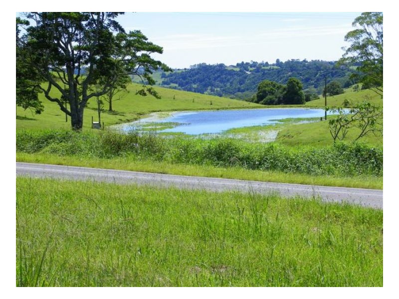 91 Reesville Road, Maleny QLD 4552