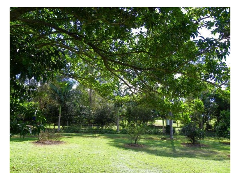 91 Reesville Road, Maleny QLD 4552