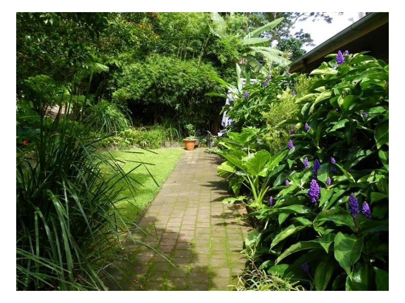 17 Alfs Road, Maleny QLD 4552