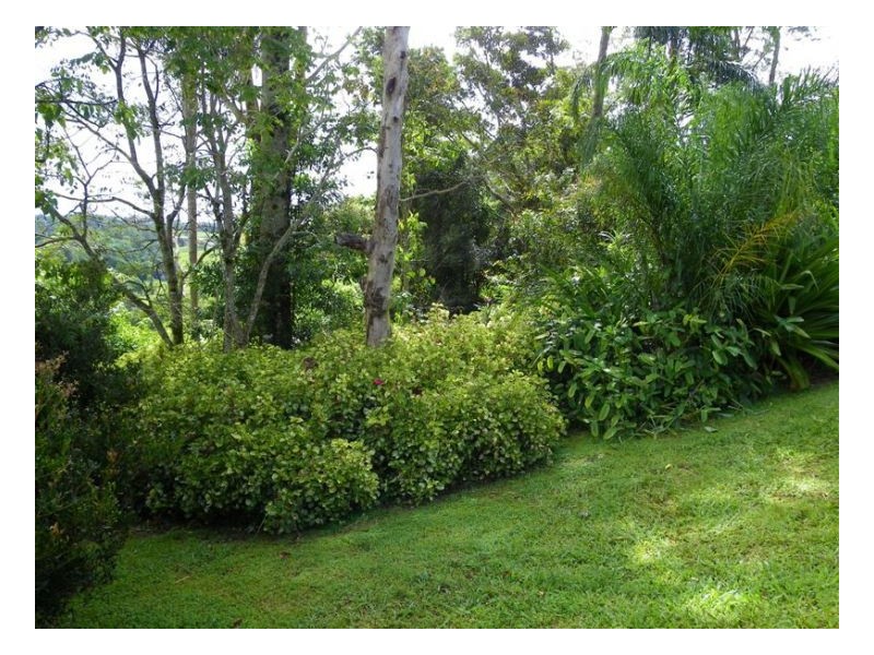 17 Alfs Road, Maleny QLD 4552