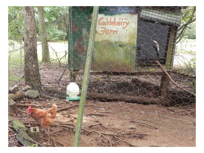 388 Mountain View Road, Maleny QLD 4552