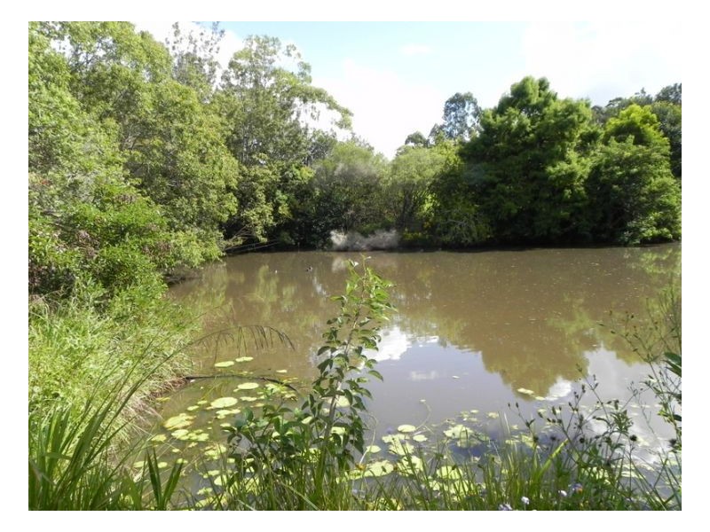 18 Freeman Court, Witta QLD 4552